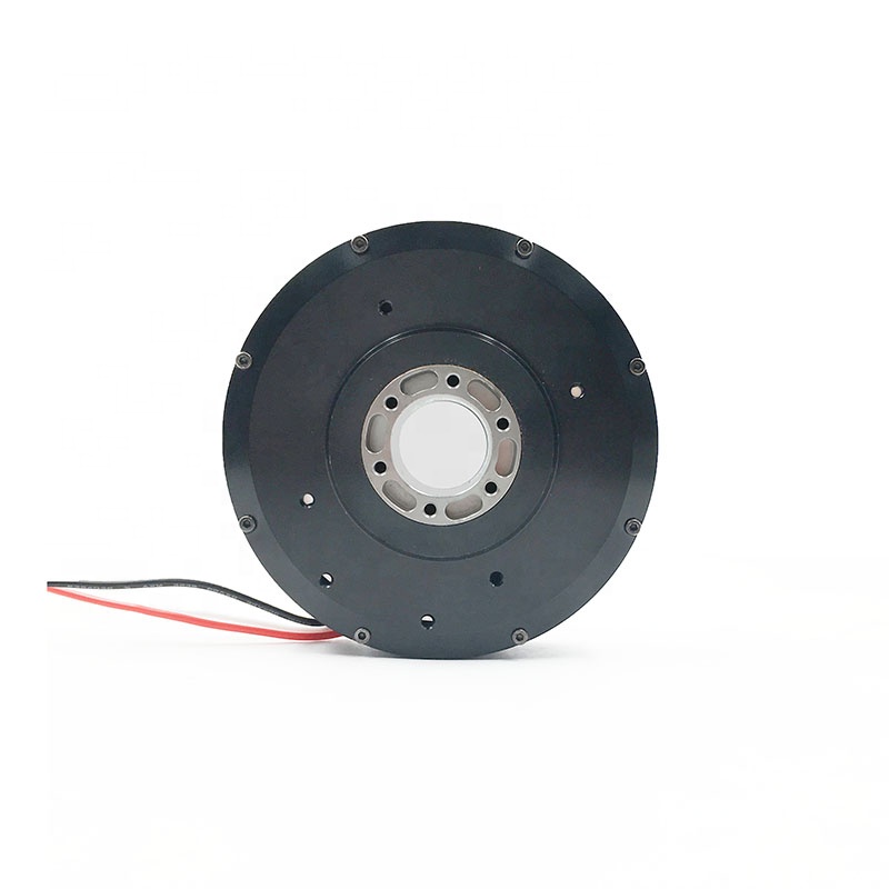 PM100 High Torque Big Hollow S - Direct Drive Servo Motor Robotics 评论和价格